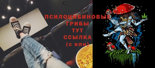 ECSTASY Михайловка