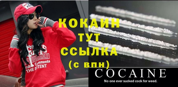 первитин Михайлов